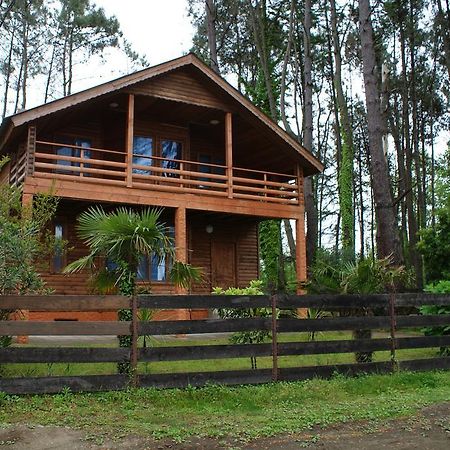 Green Cottage Shekvetili Уреки Экстерьер фото