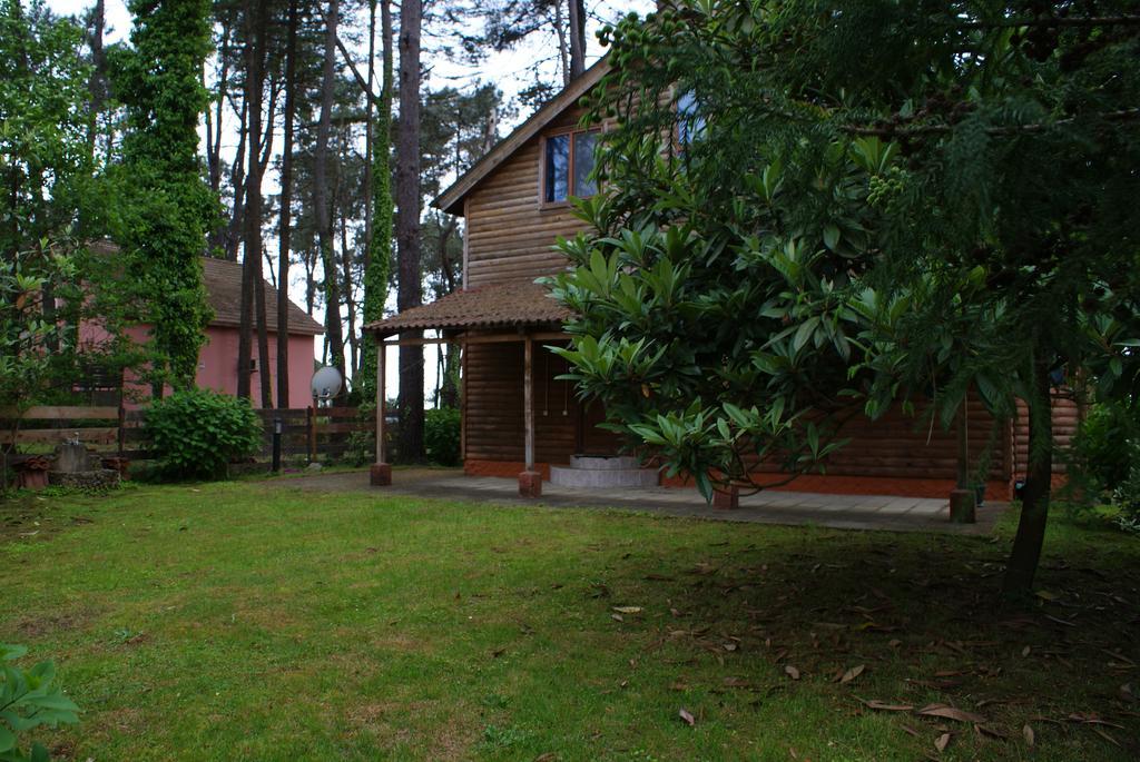 Green Cottage Shekvetili Уреки Экстерьер фото