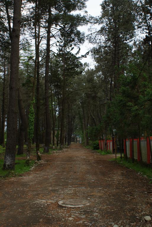 Green Cottage Shekvetili Уреки Экстерьер фото