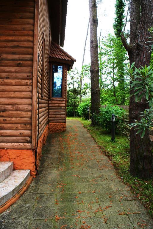 Green Cottage Shekvetili Уреки Экстерьер фото