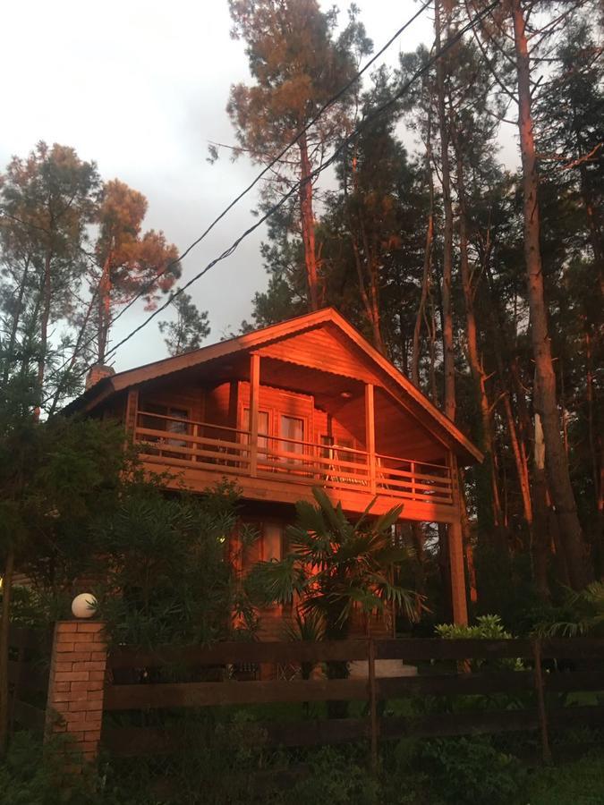 Green Cottage Shekvetili Уреки Экстерьер фото