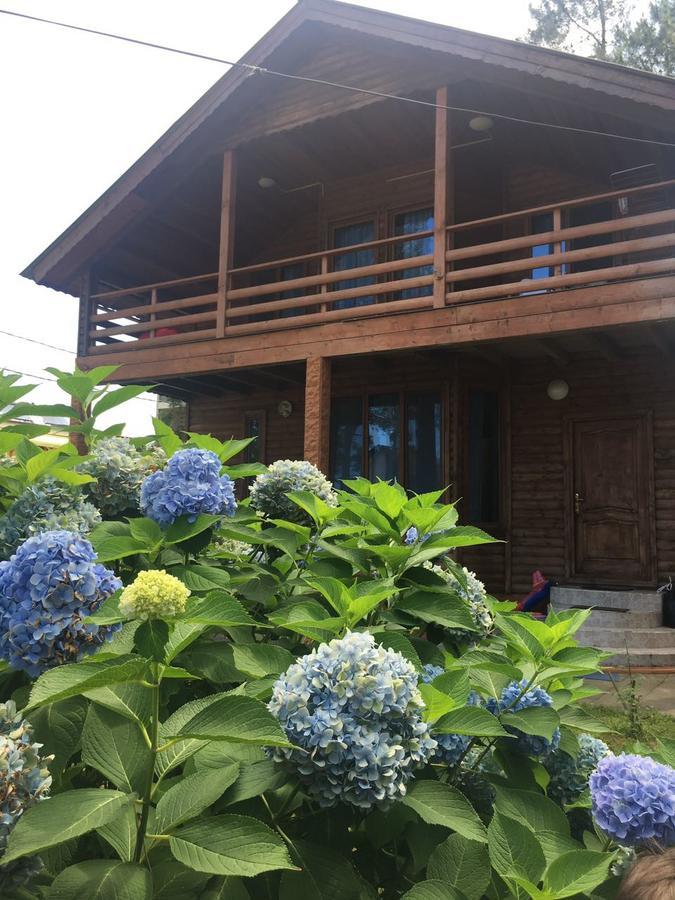 Green Cottage Shekvetili Уреки Экстерьер фото